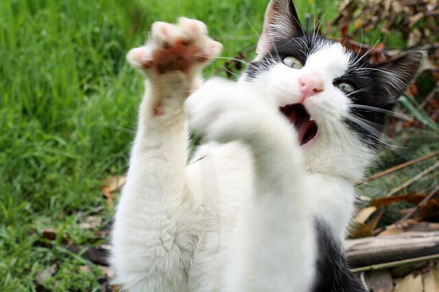 随机英格兰击败亚洲劲旅，技高一筹，英格兰的进攻