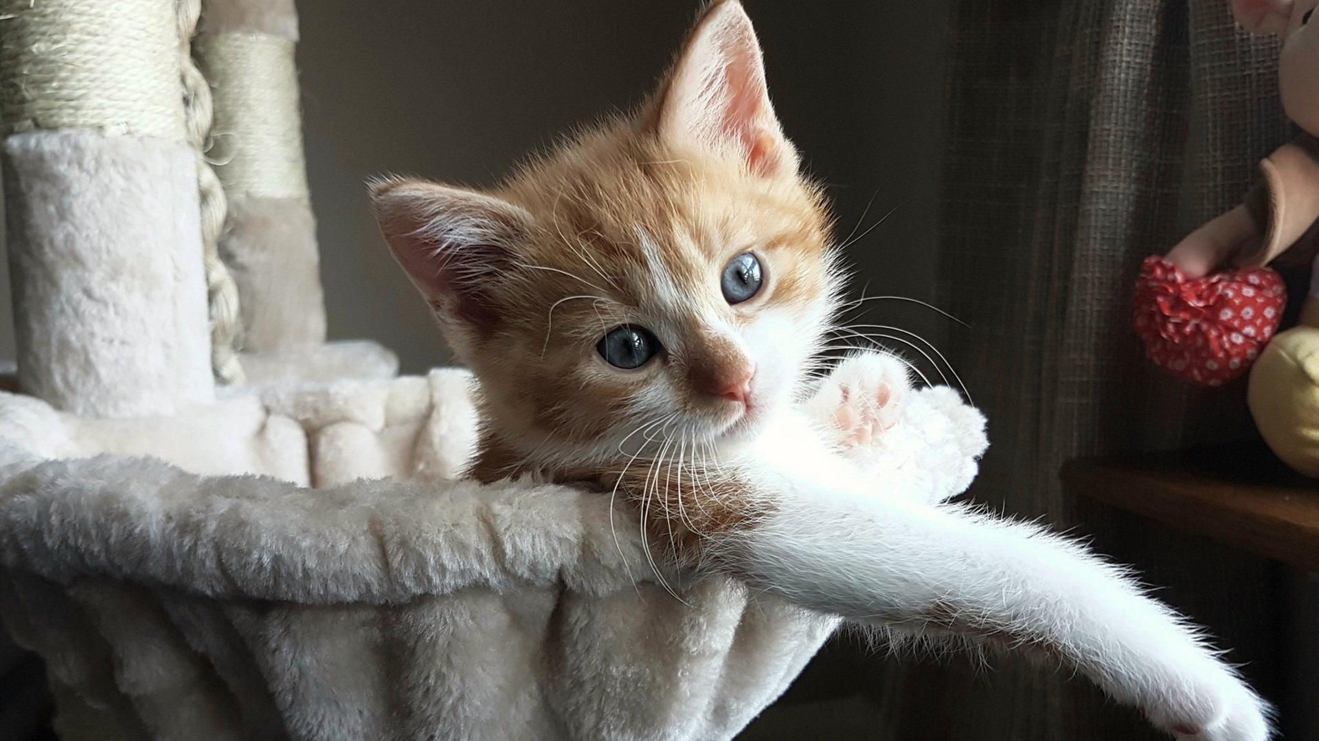 随机过去十年最经典的胜利场面，以前的胜利