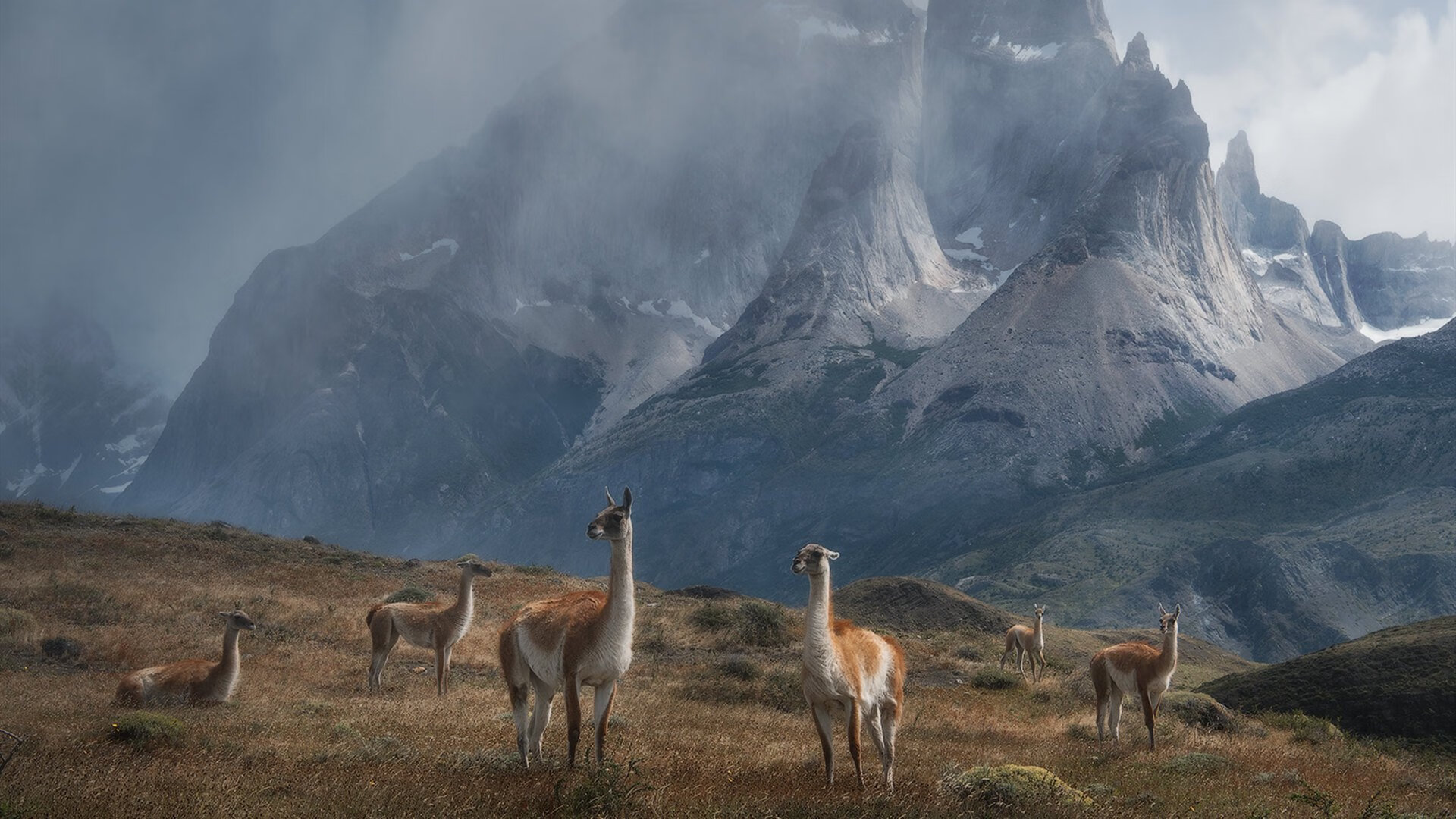 随机都灵主场战平南特，双方搏得平局，都灵的主场