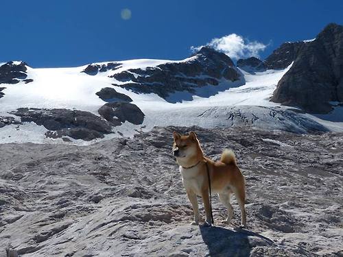 爱游戏 电竞-CBA赛季中期总结 多队调整战术重心，cba 阶段