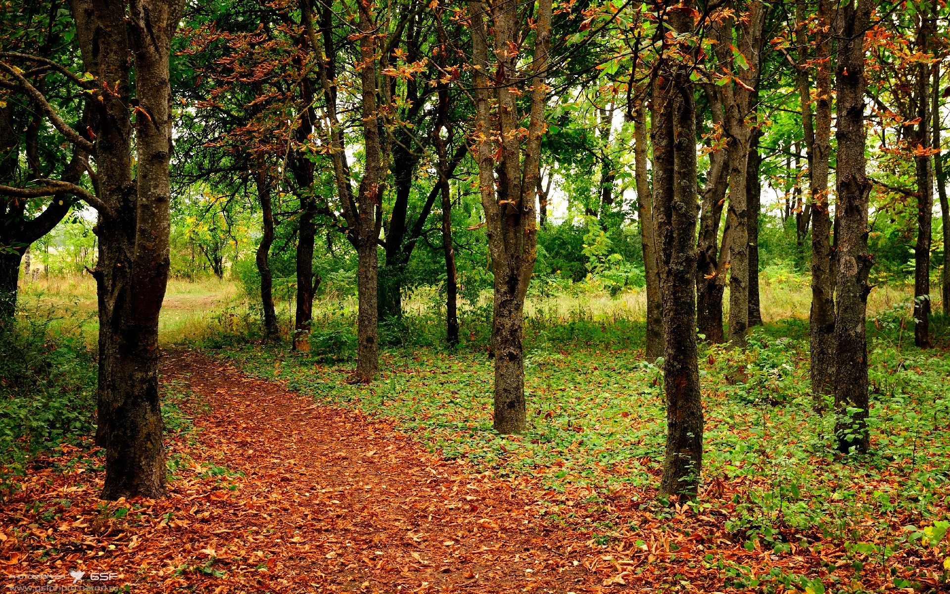 爱游戏体育-巴黎圣日耳曼续写豪华阵容，法甲霸主稳固