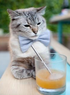 爱游戏下载-拜仁慕尼黑强势领跑德甲，争冠形势已定