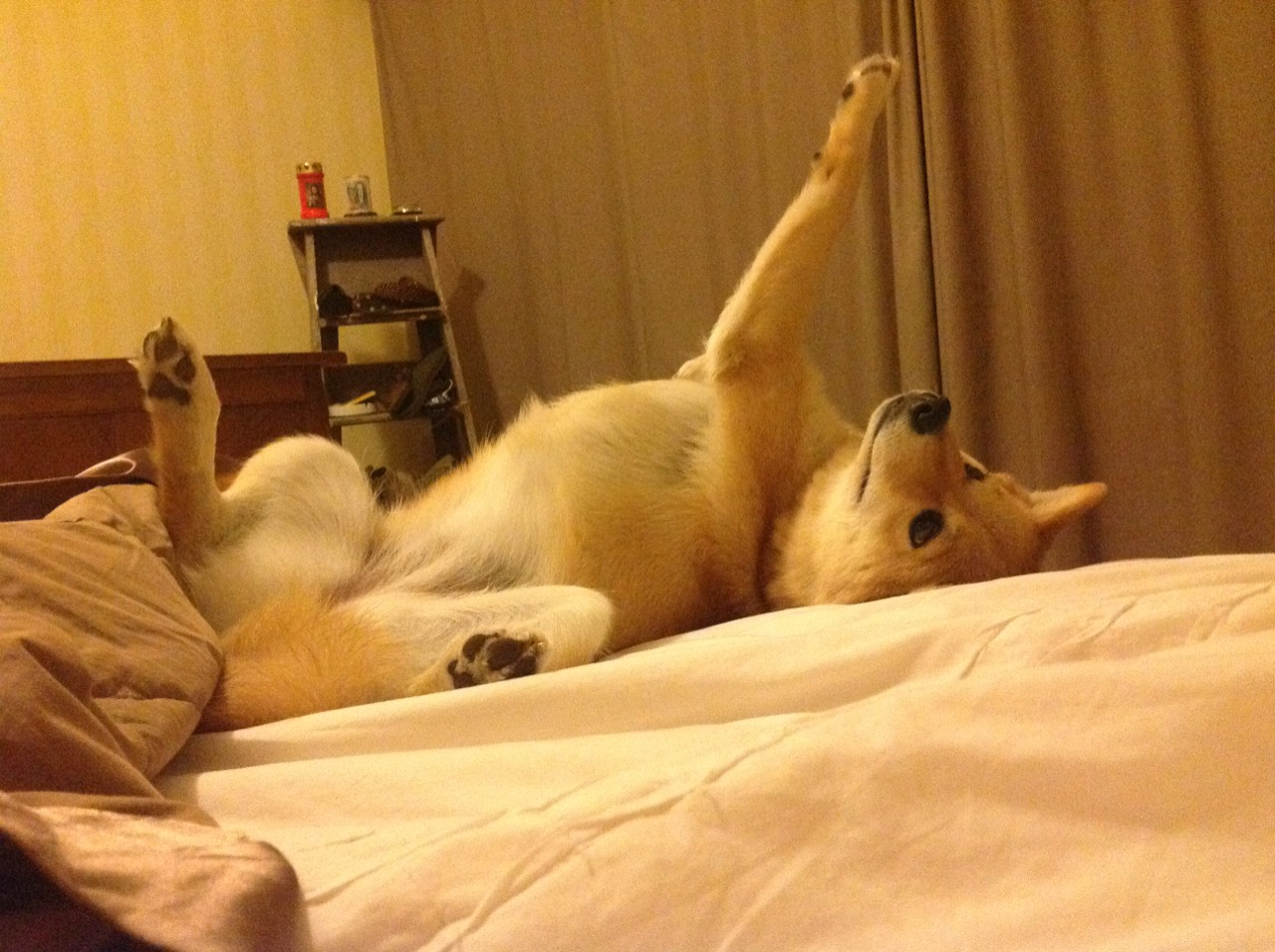 李冰洁冲刺阶段表现令人惊艳,李冰洁训练视频