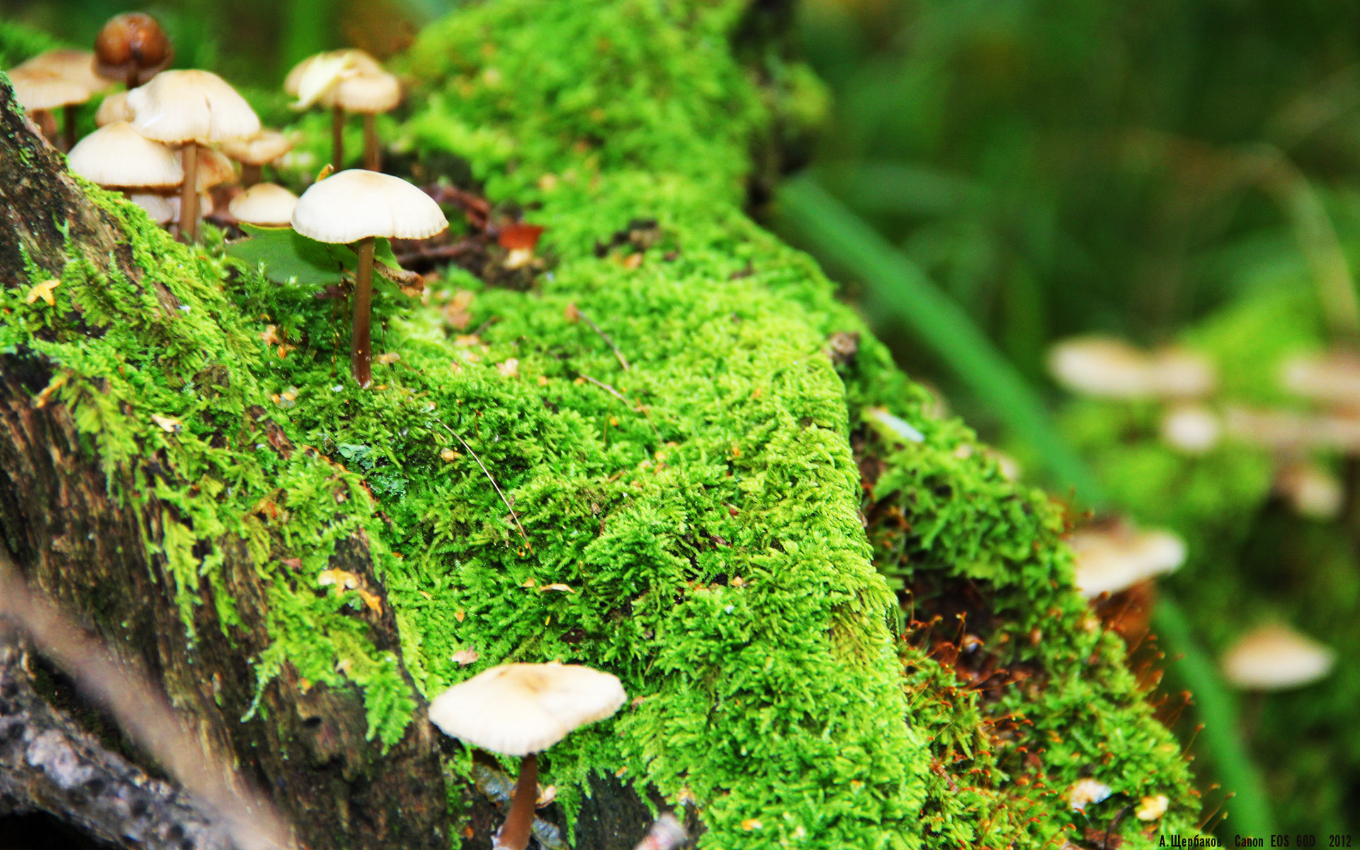 AYX体育官网-青训基地开设球员礼仪课程培养综合素质能力，足球青训人才