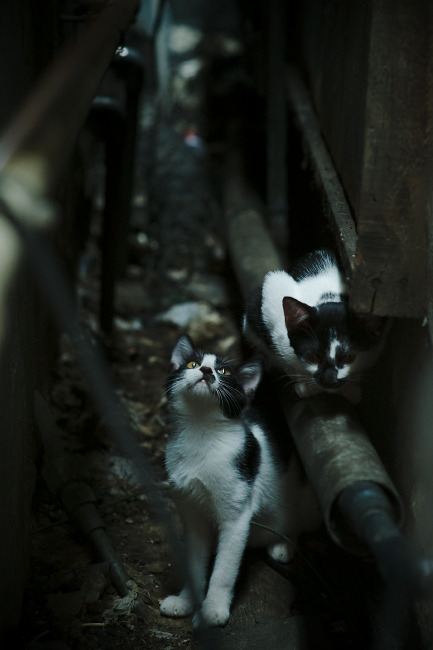 爱游戏综合娱乐-高强度跑动成为比赛标配体能储备决定能否打出高压节奏，高强度跑步是什么意思